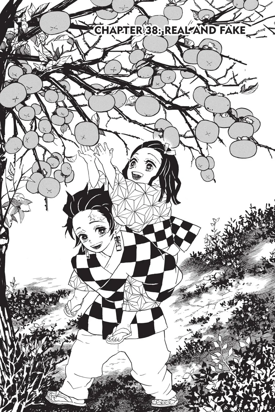 Demon Slayer: Kimetsu no Yaiba - Chapter 38 - Page 1