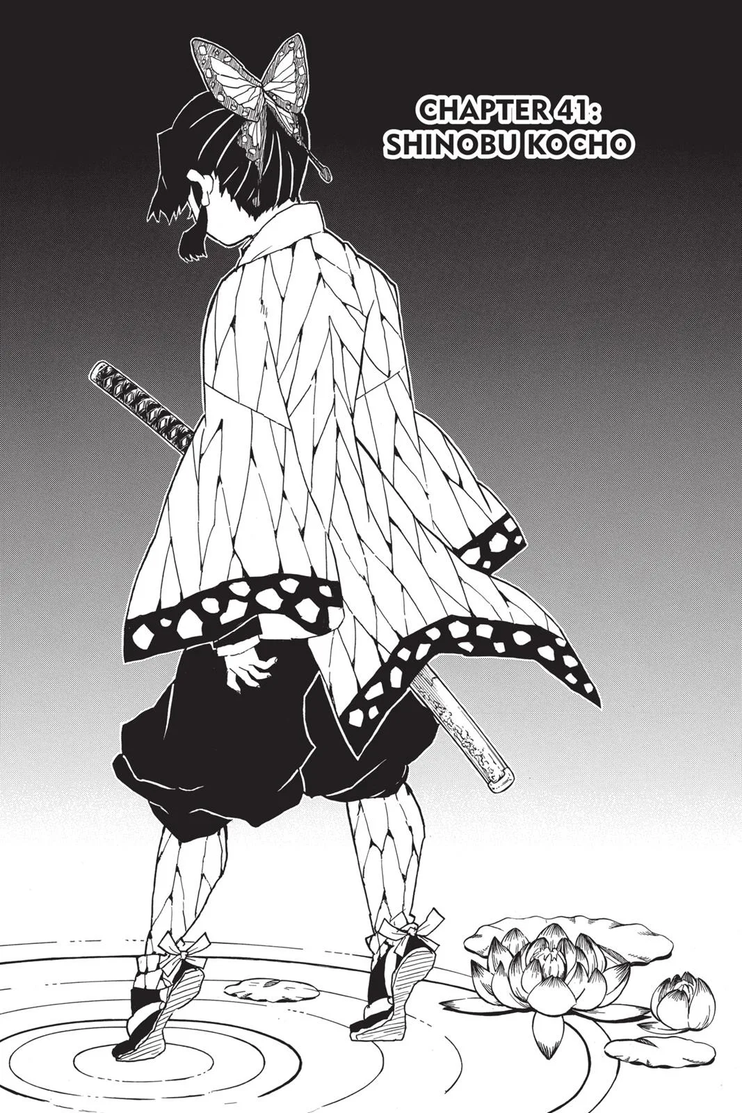 Demon Slayer: Kimetsu no Yaiba - Chapter 41 - Page 1