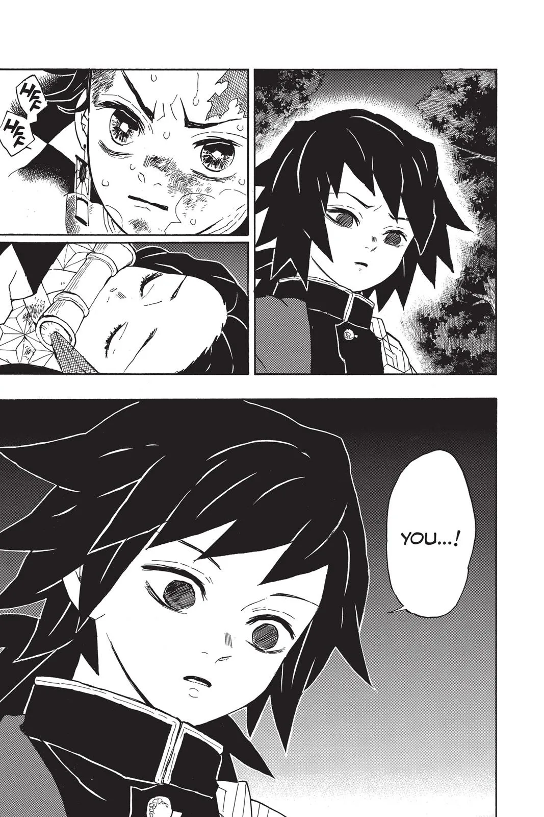 Demon Slayer: Kimetsu no Yaiba - Chapter 43 - Page 17