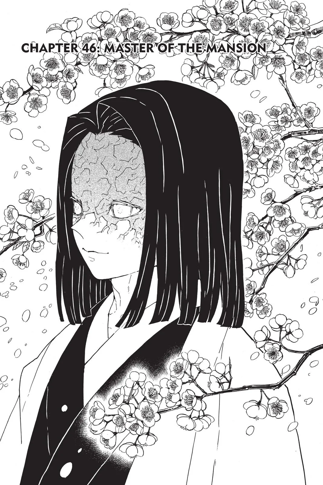 Demon Slayer: Kimetsu no Yaiba - Chapter 46 - Page 1