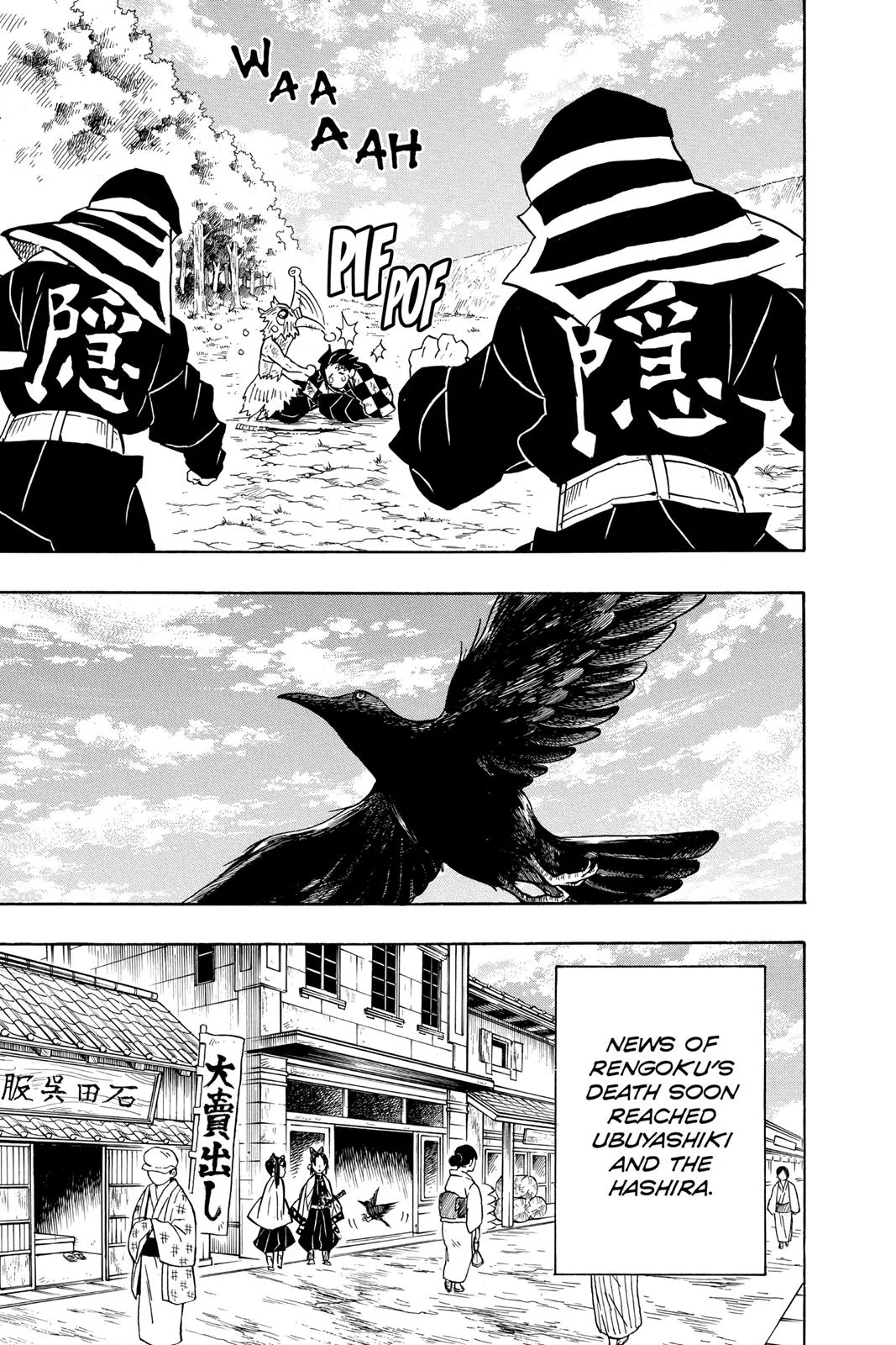 Demon Slayer: Kimetsu no Yaiba - Chapter 66 - Page 17