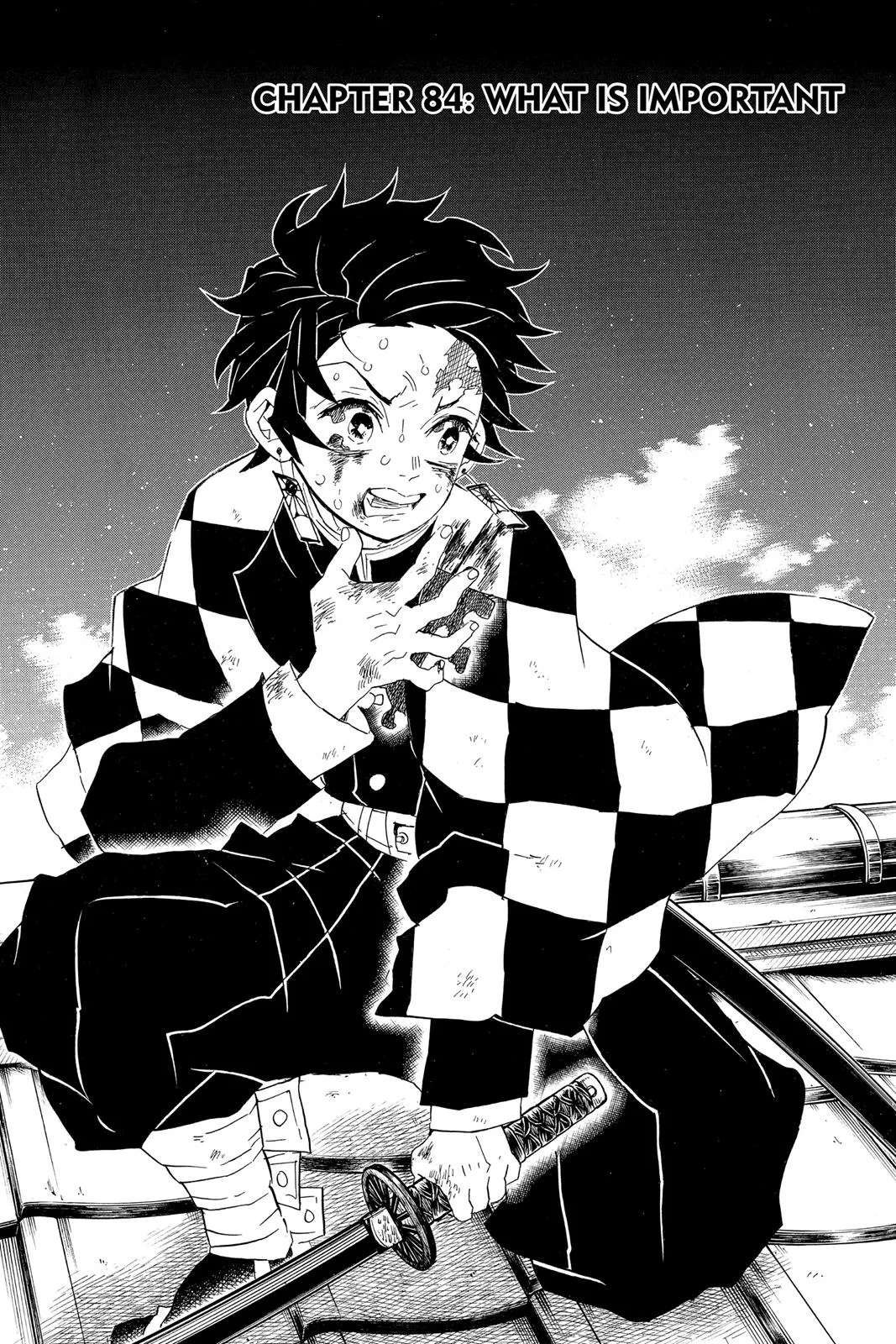 Demon Slayer: Kimetsu no Yaiba - Chapter 84 - Page 1