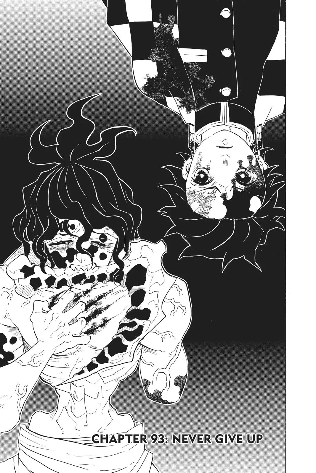 Demon Slayer: Kimetsu no Yaiba - Chapter 93 - Page 1