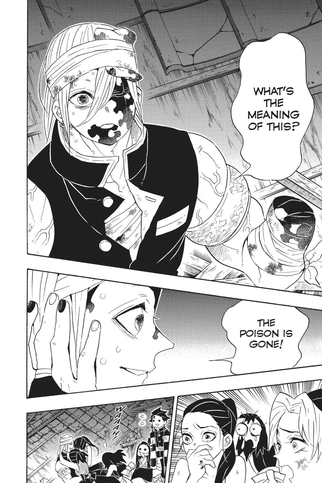 Demon Slayer: Kimetsu no Yaiba - Chapter 95 - Page 14