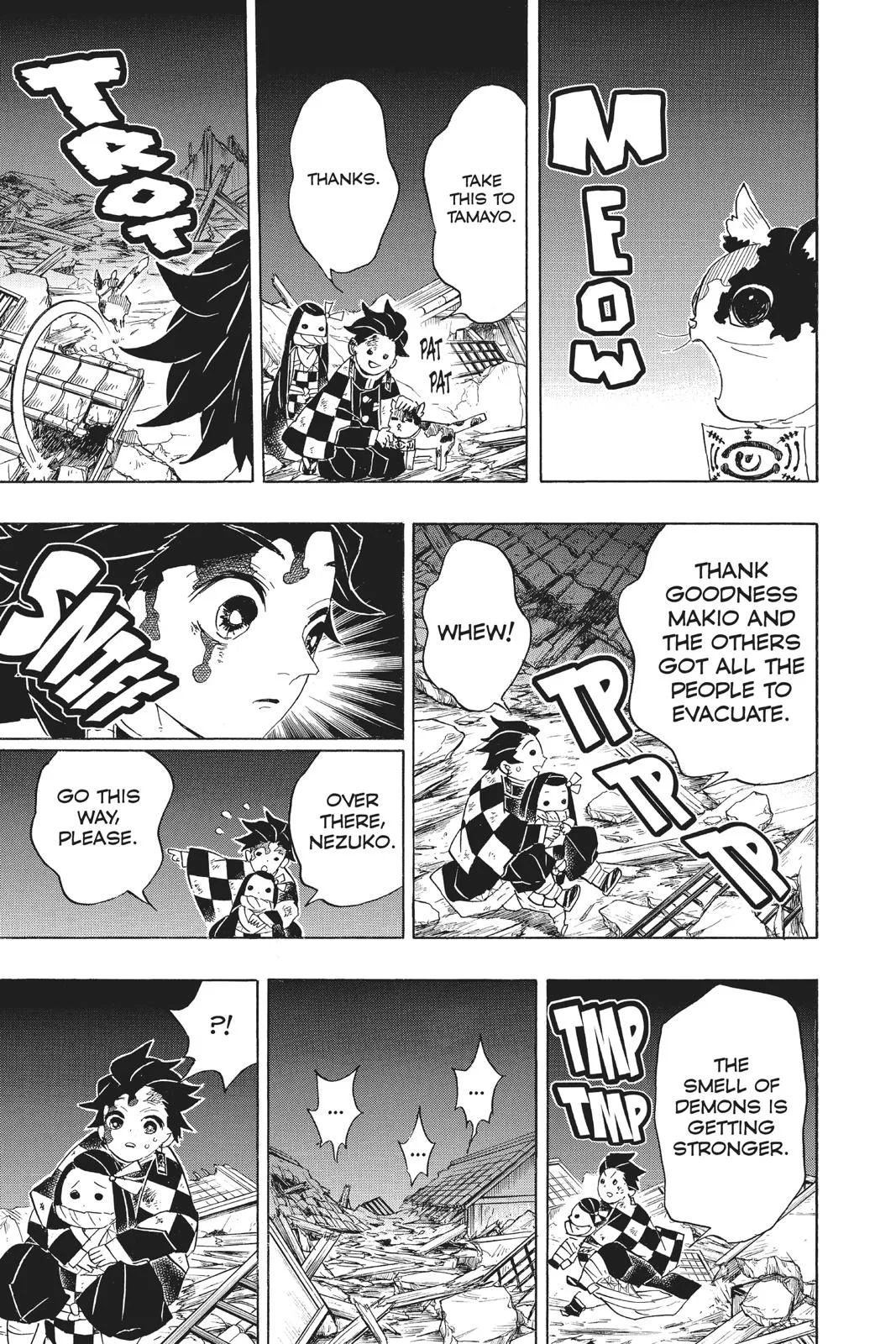 Demon Slayer: Kimetsu no Yaiba - Chapter 95 - Page 17