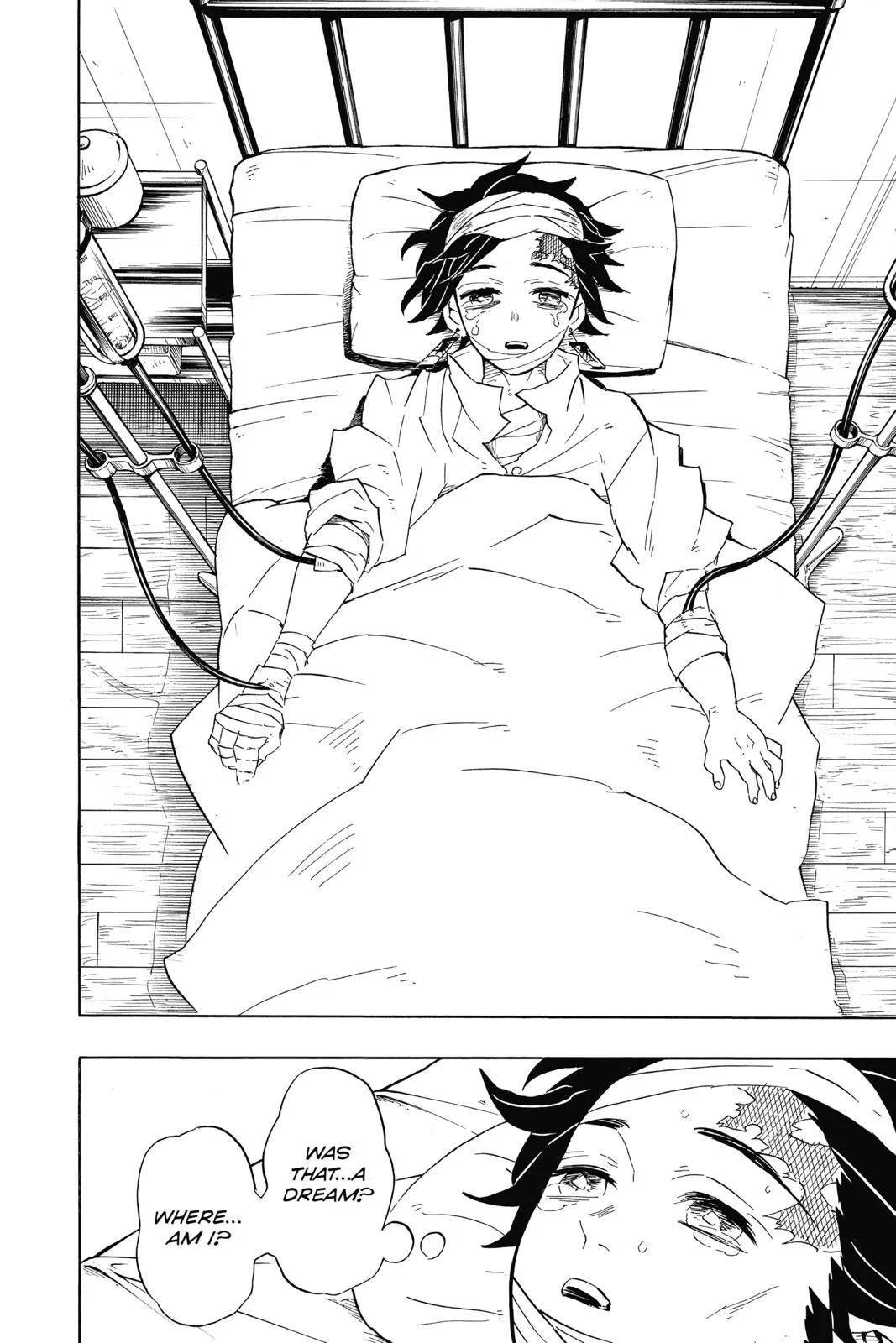 Demon Slayer: Kimetsu no Yaiba - Chapter 99 - Page 18