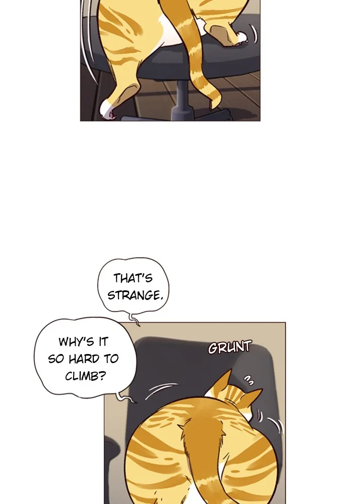 Eleceed - Chapter 1 - Page 96