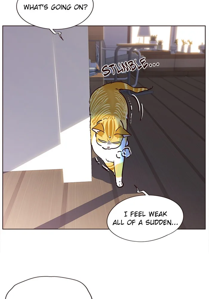 Eleceed - Chapter 11 - Page 27