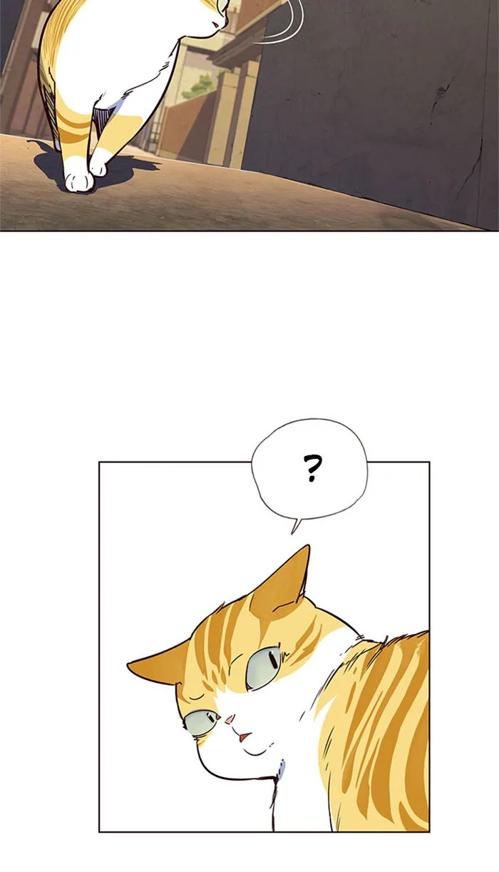 Eleceed - Chapter 13 - Page 85