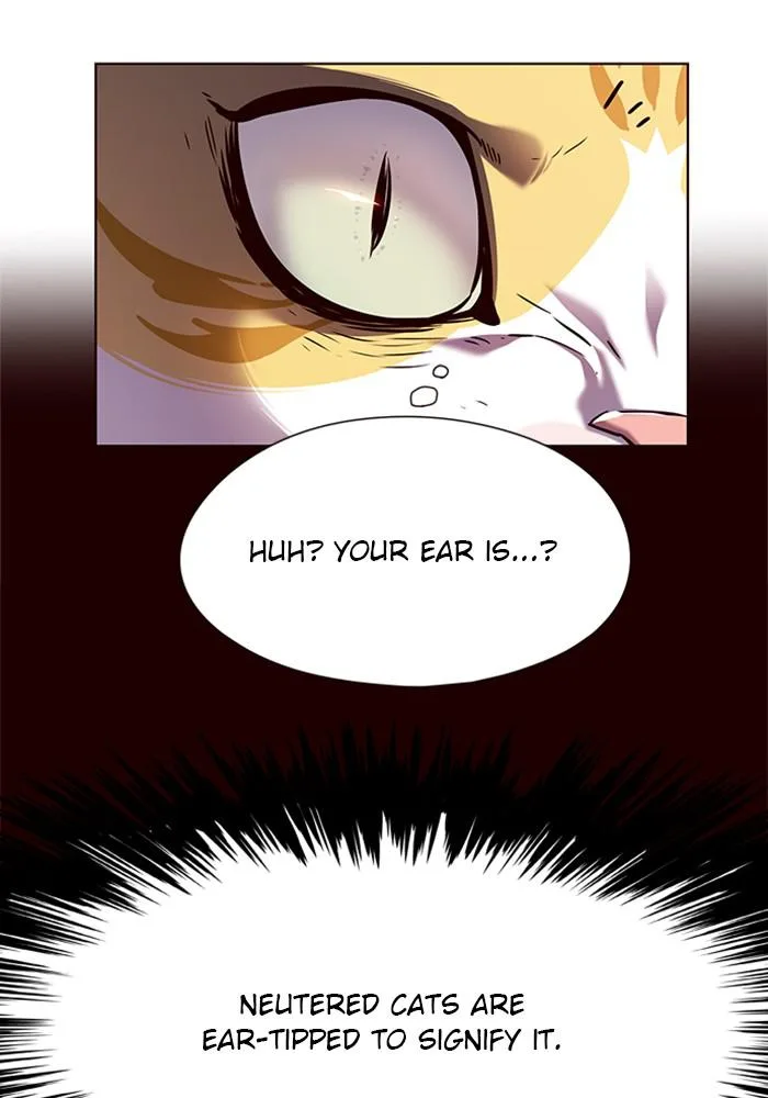Eleceed - Chapter 141 - Page 95