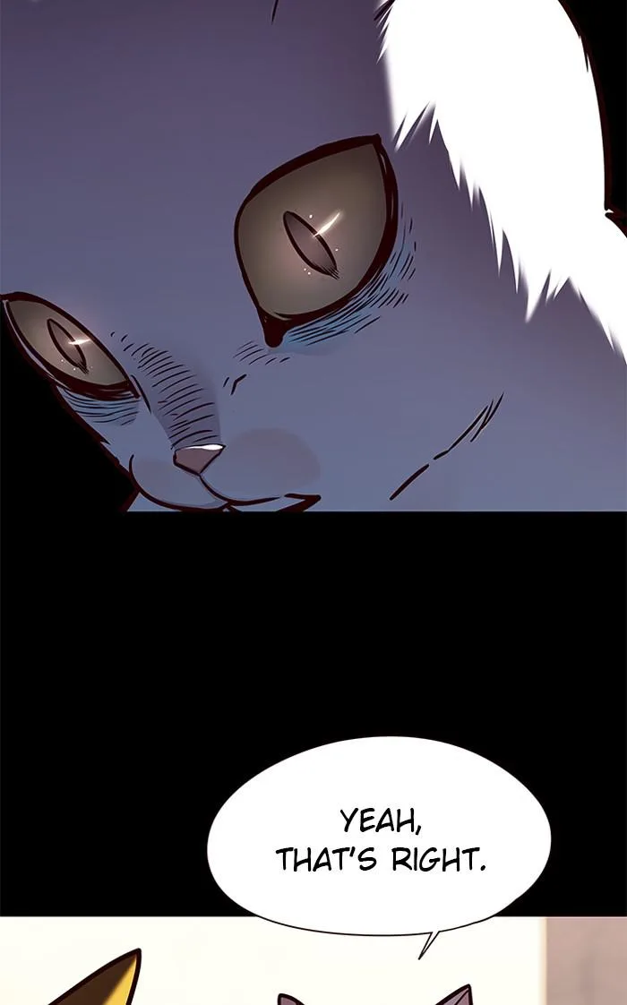 Eleceed - Chapter 142 - Page 13