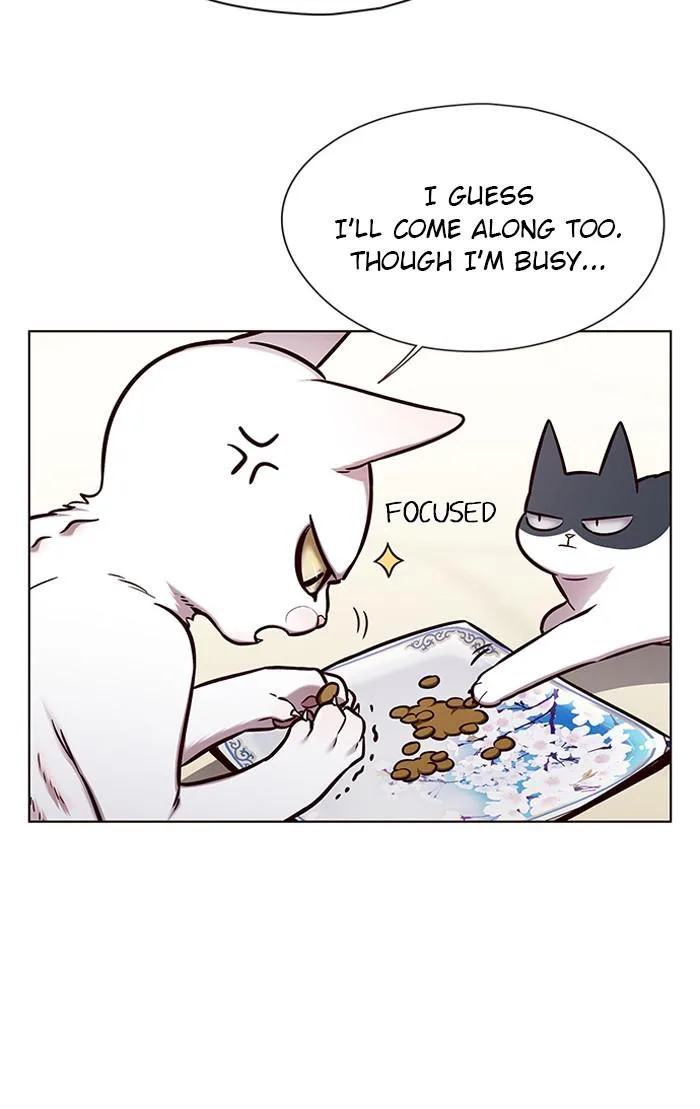 Eleceed - Chapter 143 - Page 50