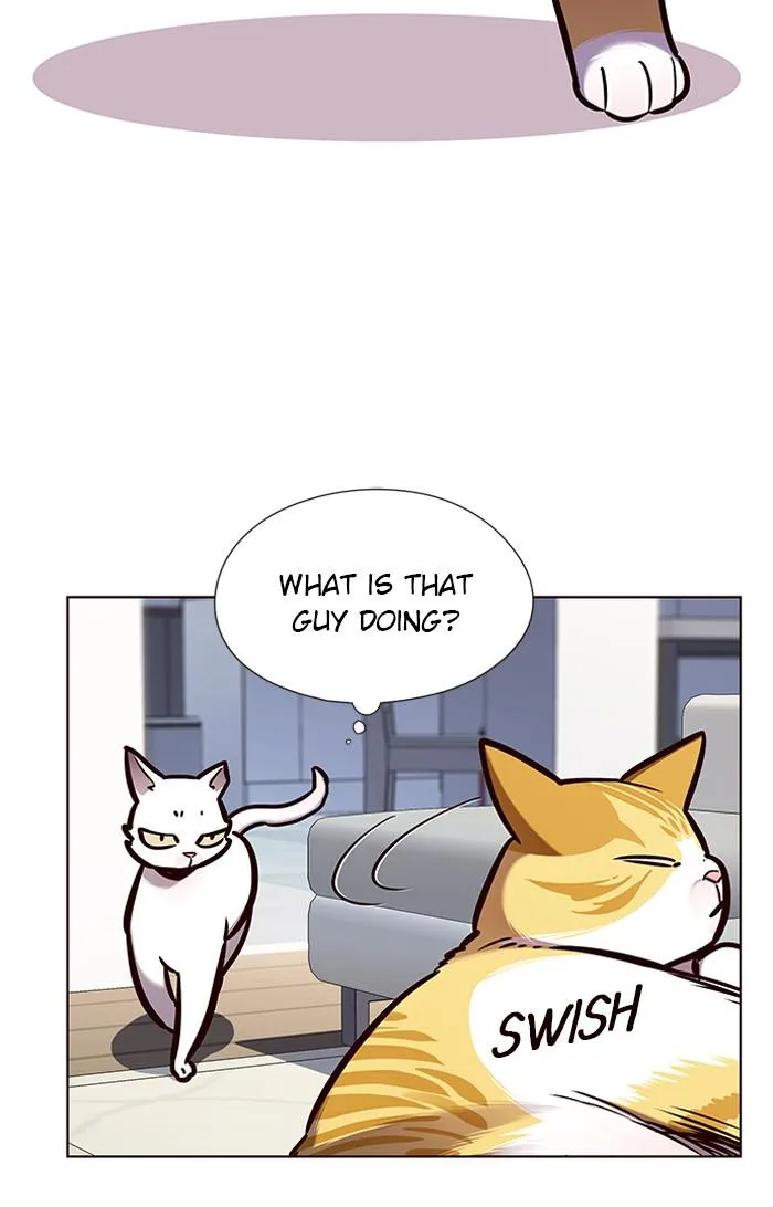Eleceed - Chapter 144 - Page 21