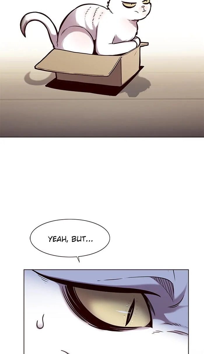 Eleceed - Chapter 164 - Page 33