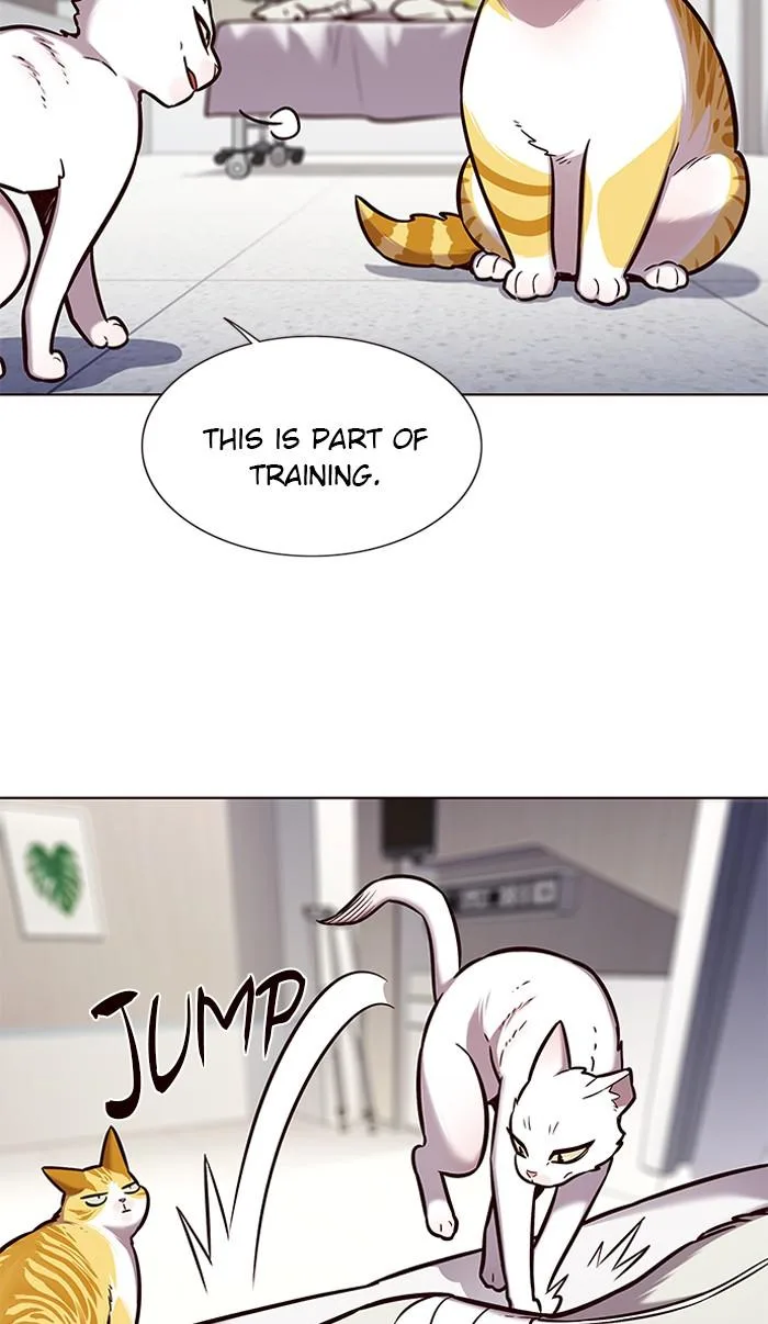 Eleceed - Chapter 166 - Page 11