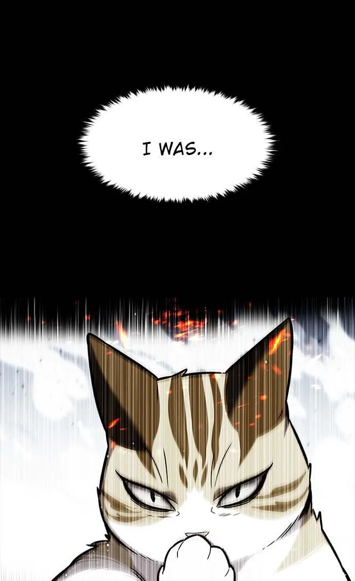 Eleceed - Chapter 167 - Page 28