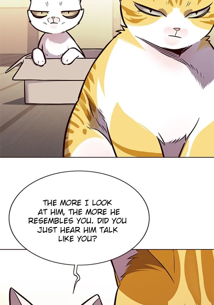 Eleceed - Chapter 174 - Page 75