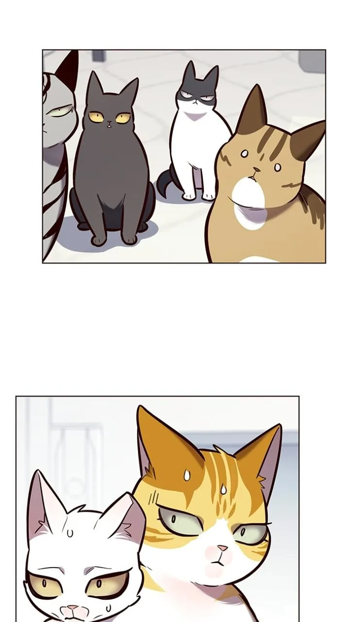 Eleceed - Chapter 188 - Page 28