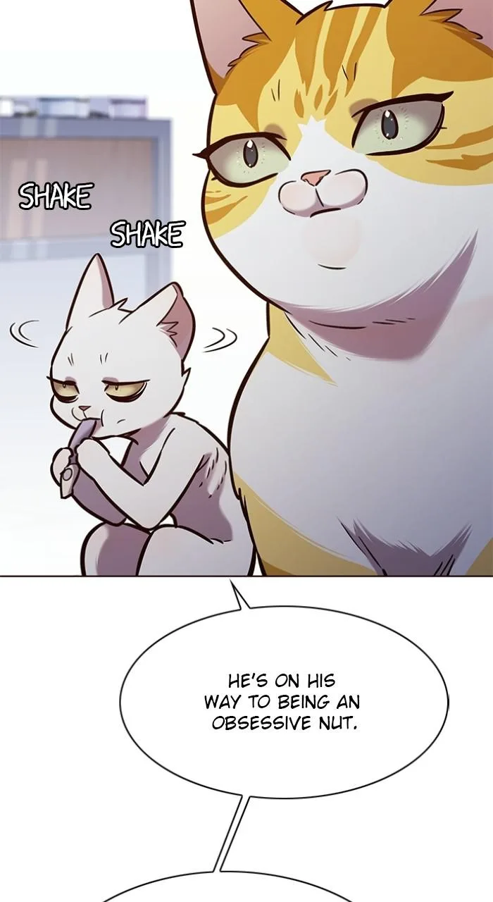 Eleceed - Chapter 189 - Page 53