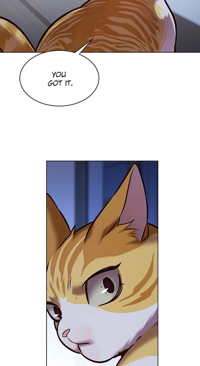 Eleceed - Chapter 229 - Page 61