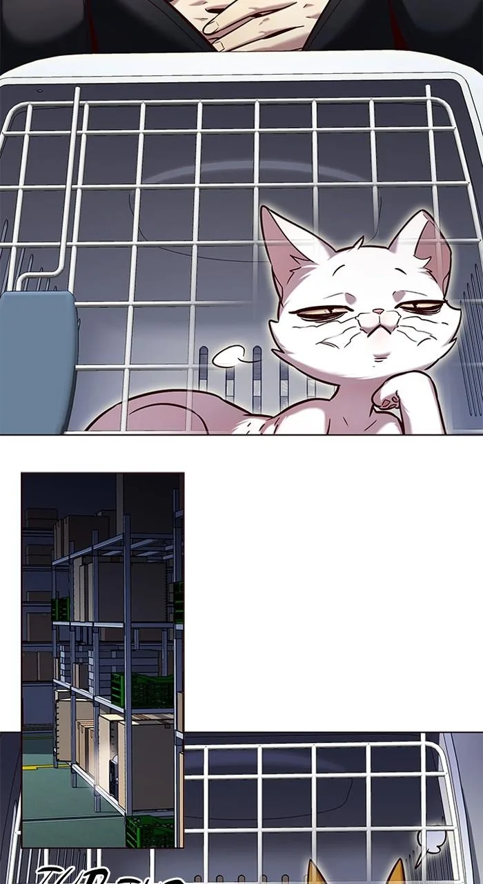 Eleceed - Chapter 231 - Page 27