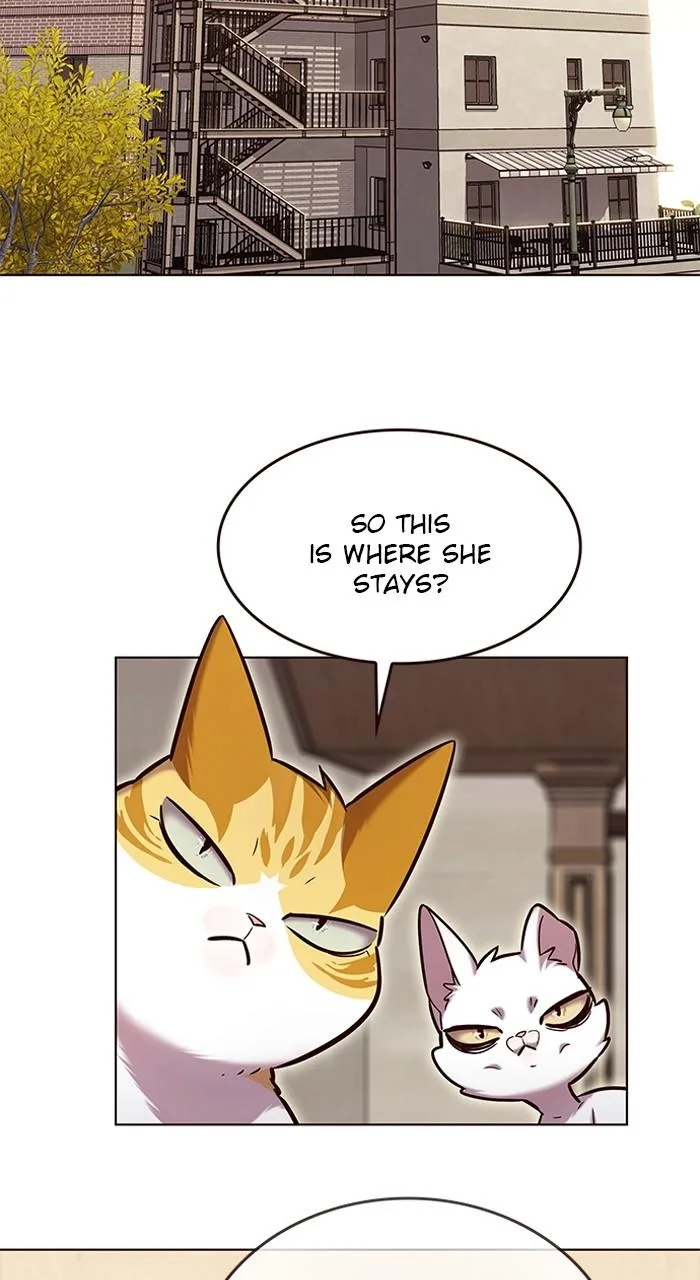 Eleceed - Chapter 231 - Page 31