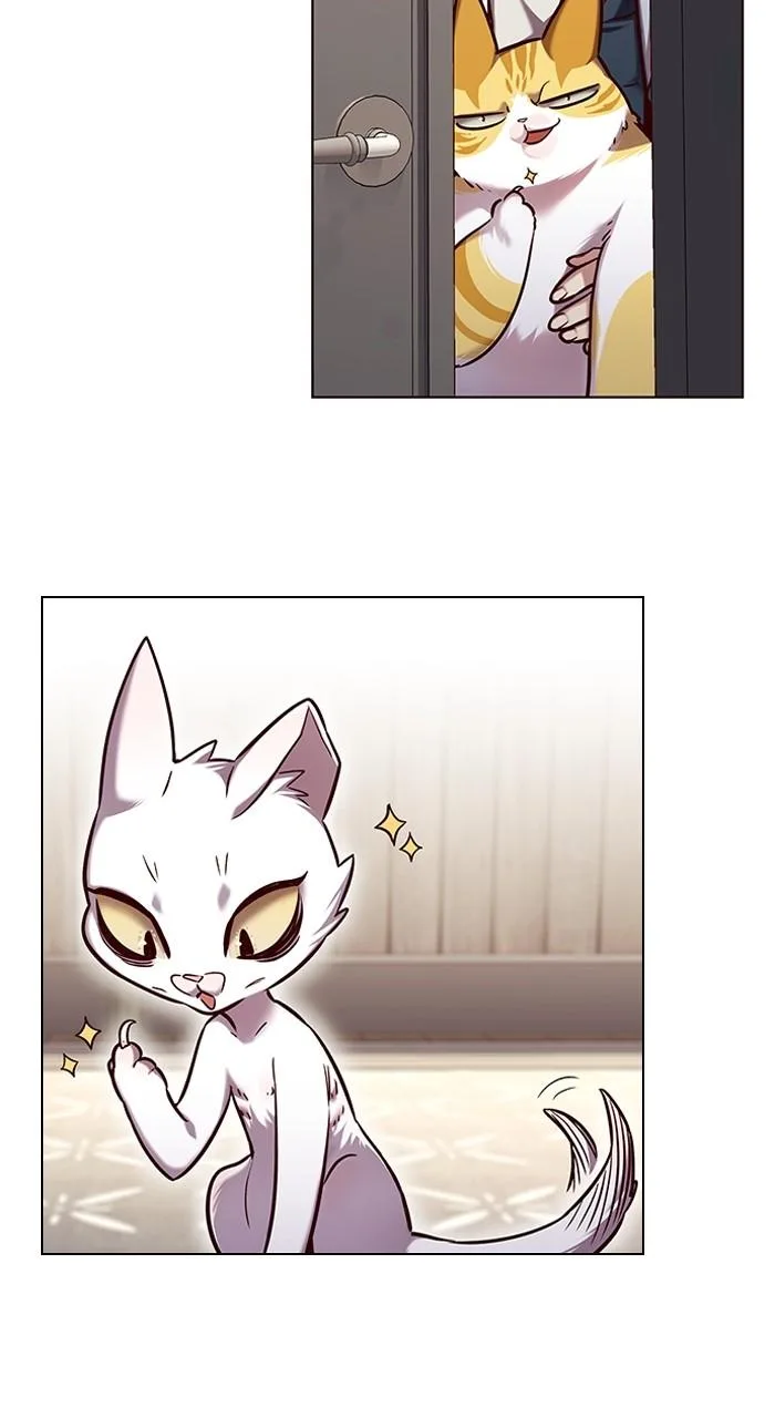 Eleceed - Chapter 231 - Page 41