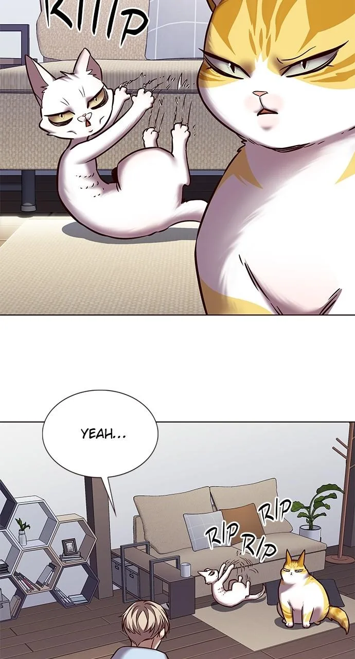 Eleceed - Chapter 240 - Page 42