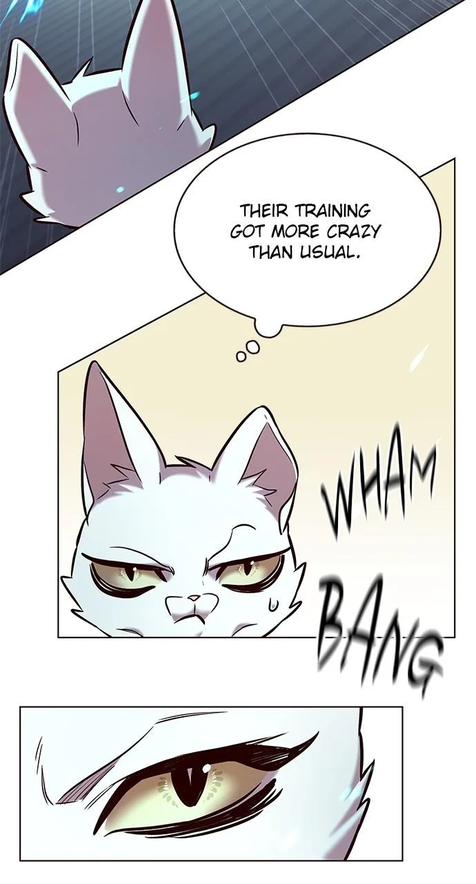 Eleceed - Chapter 241 - Page 17