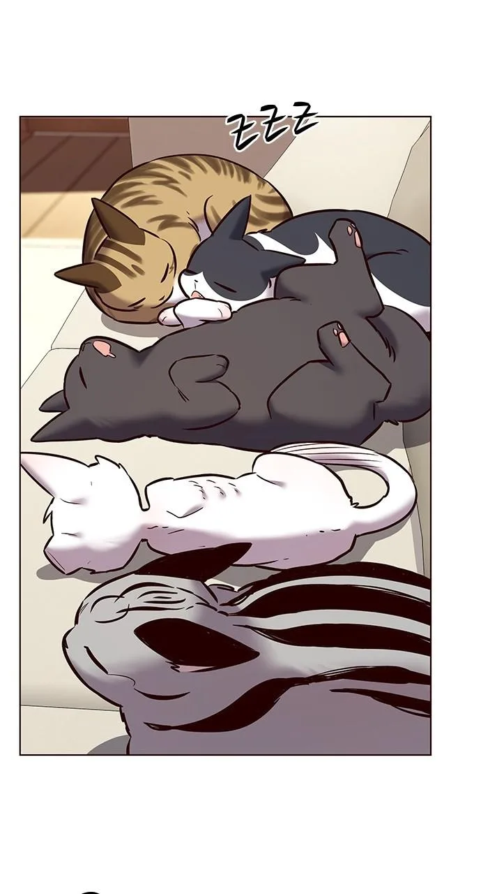 Eleceed - Chapter 243 - Page 77