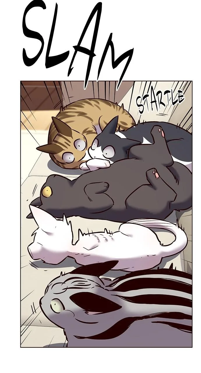 Eleceed - Chapter 243 - Page 78
