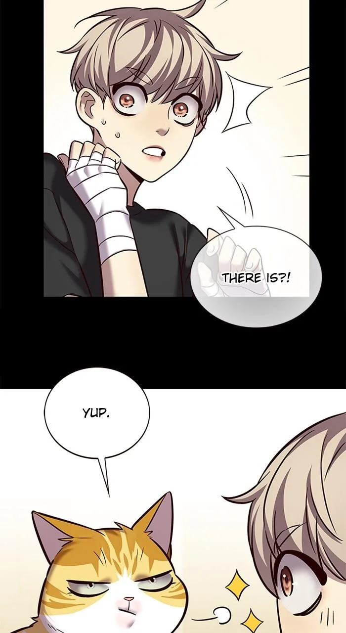 Eleceed - Chapter 244 - Page 22