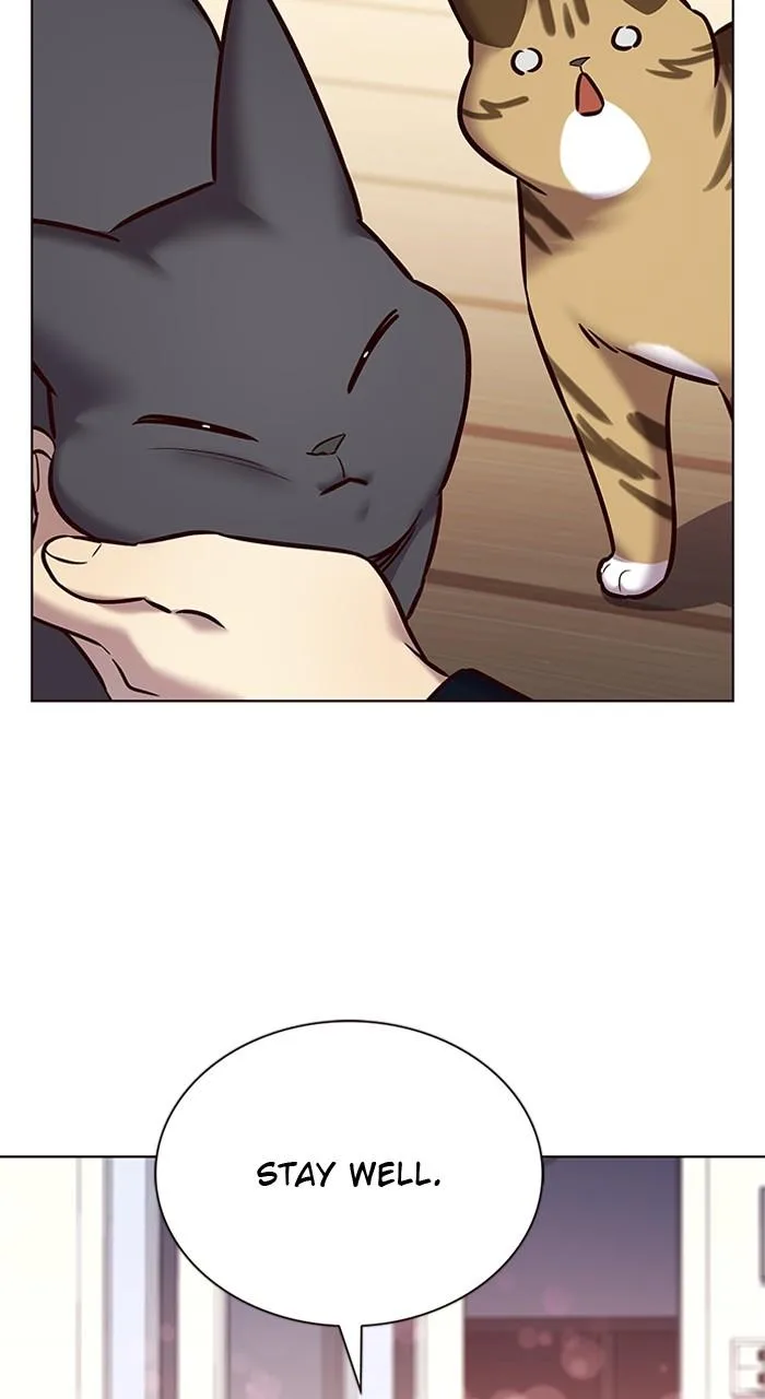 Eleceed - Chapter 244 - Page 54