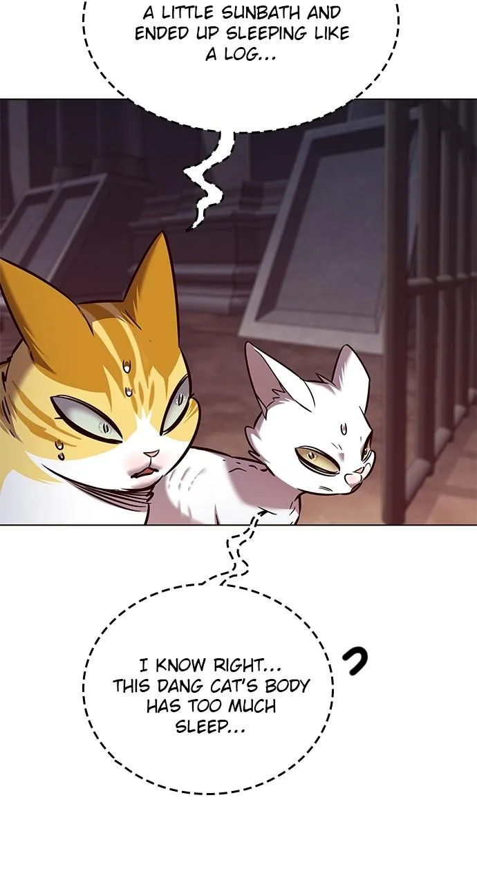 Eleceed - Chapter 249 - Page 13