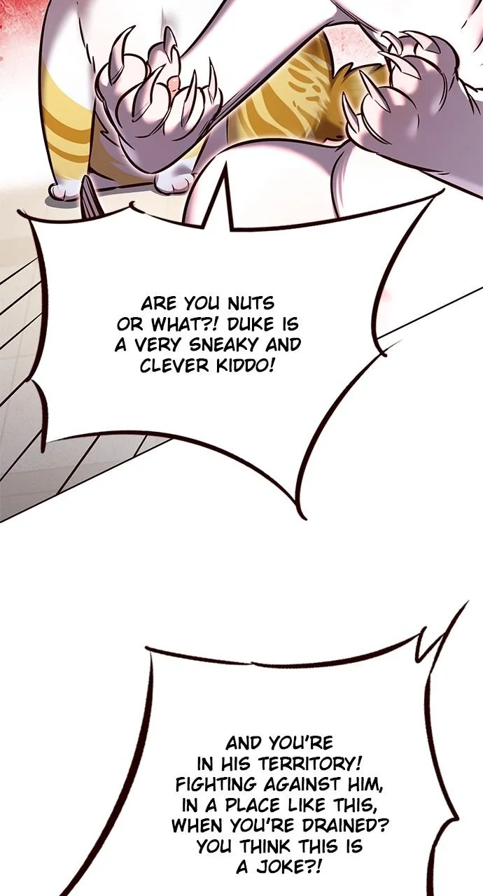 Eleceed - Chapter 249 - Page 81