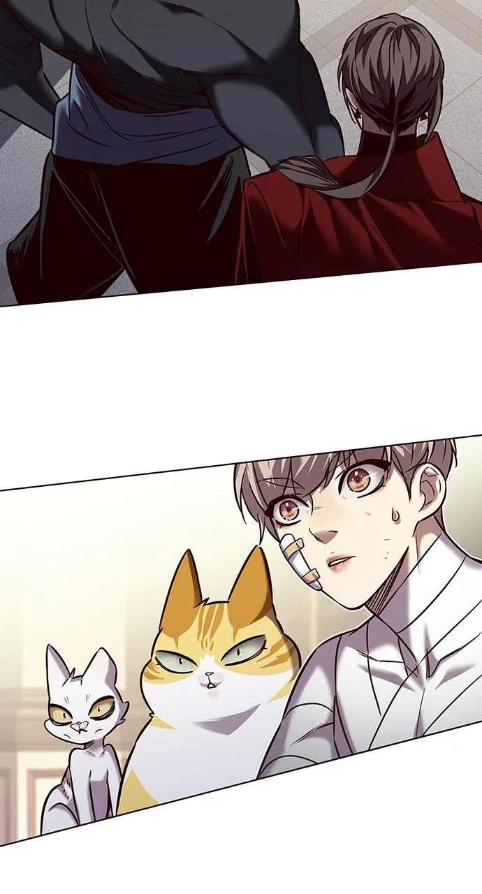 Eleceed - Chapter 254 - Page 45