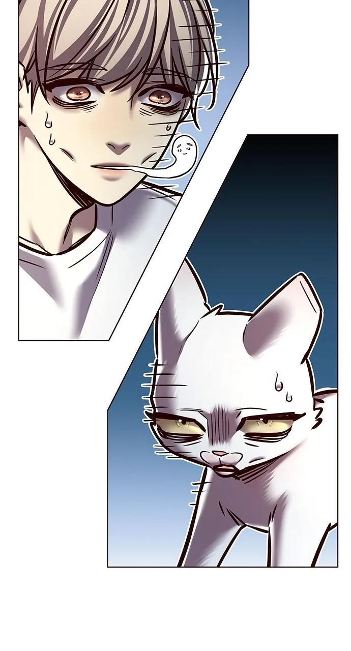Eleceed - Chapter 278 - Page 8