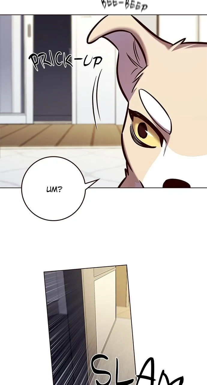 Eleceed - Chapter 280 - Page 16