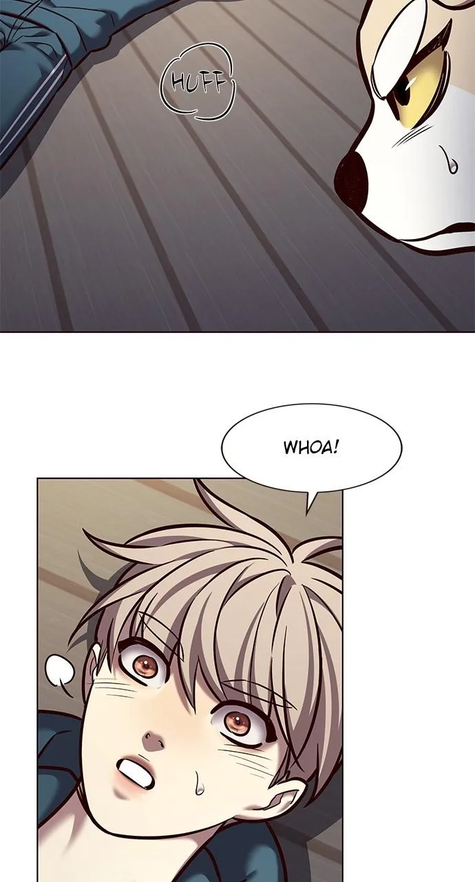 Eleceed - Chapter 281 - Page 50