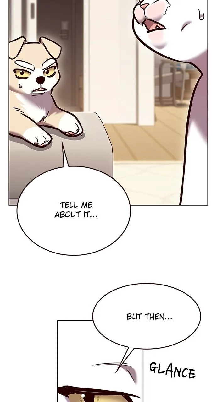 Eleceed - Chapter 298 - Page 14