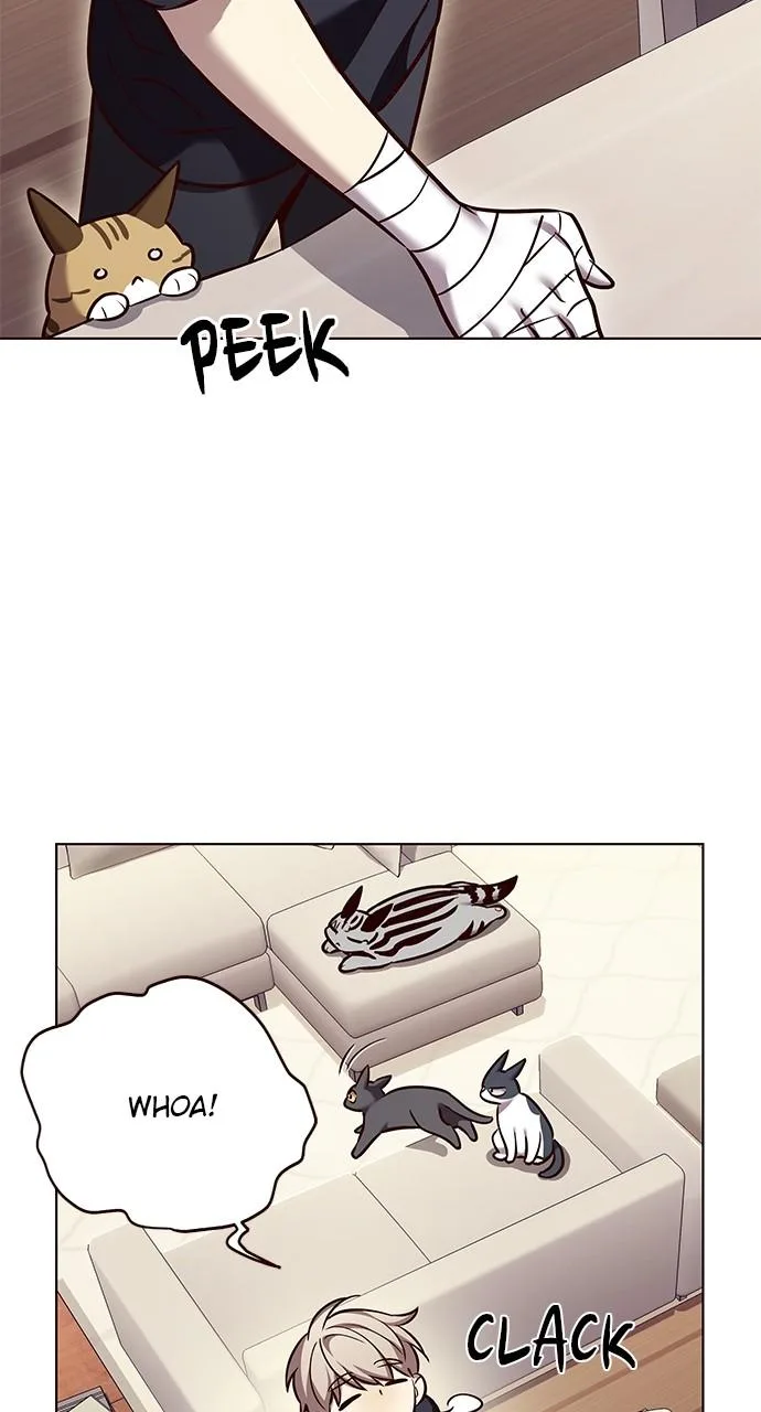 Eleceed - Chapter 305 - Page 49