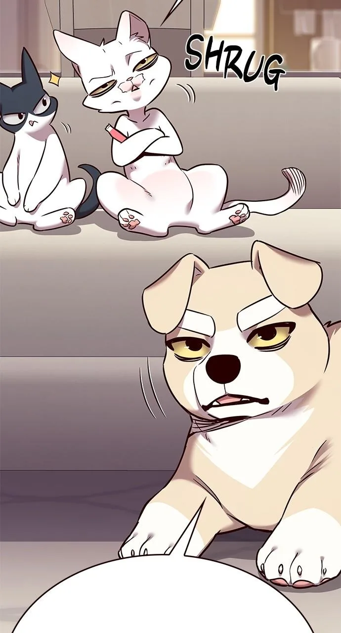 Eleceed - Chapter 306 - Page 81