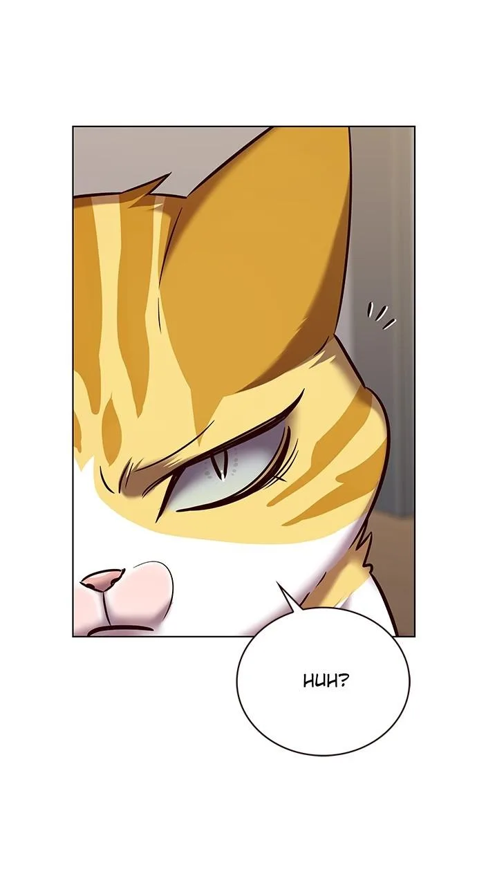 Eleceed - Chapter 322 - Page 64