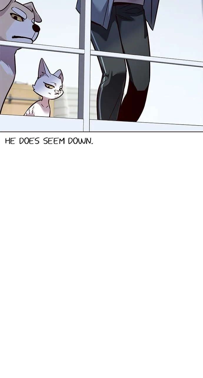 Eleceed - Chapter 323 - Page 20