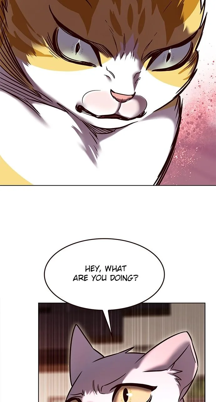 Eleceed - Chapter 323 - Page 48