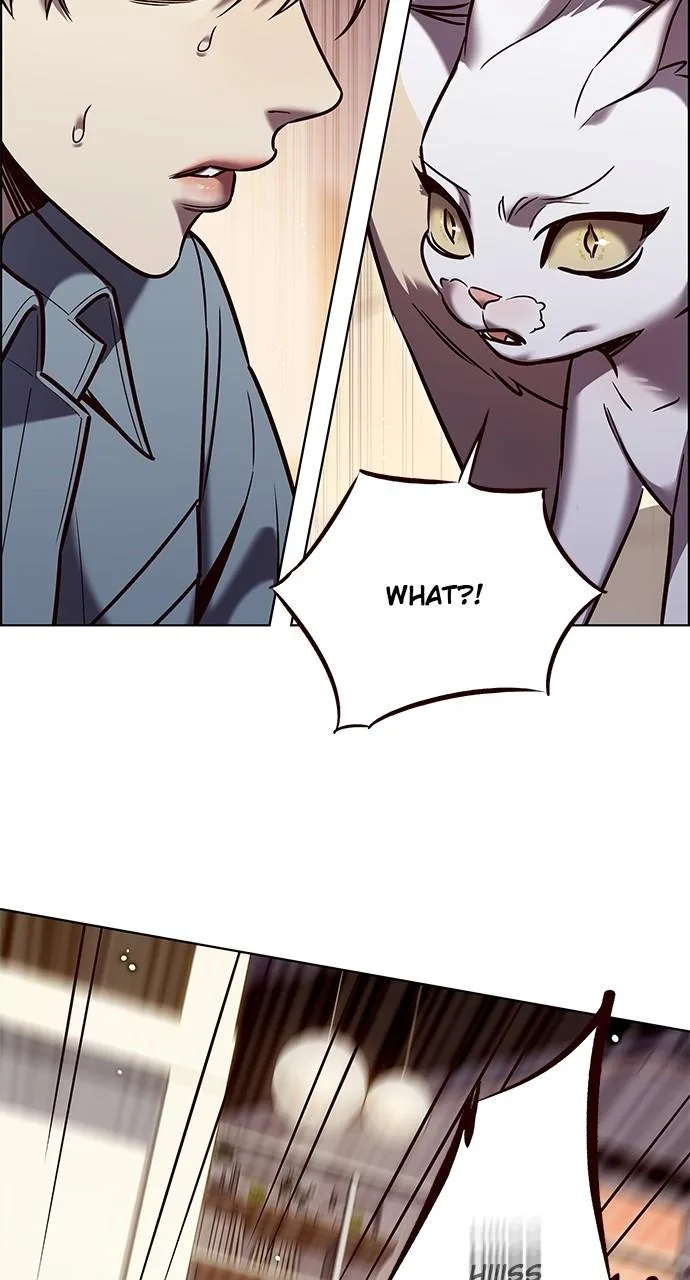 Eleceed - Chapter 323 - Page 51