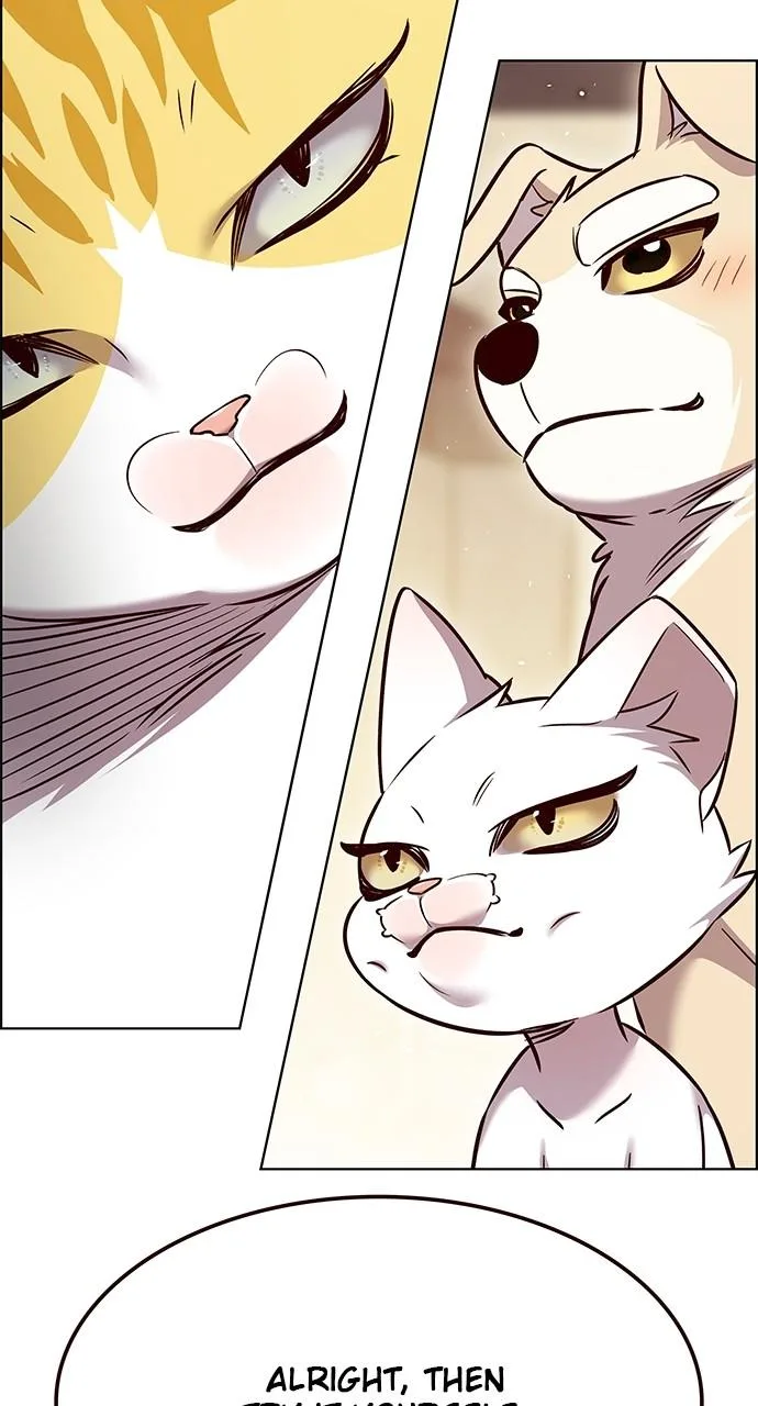 Eleceed - Chapter 330 - Page 33