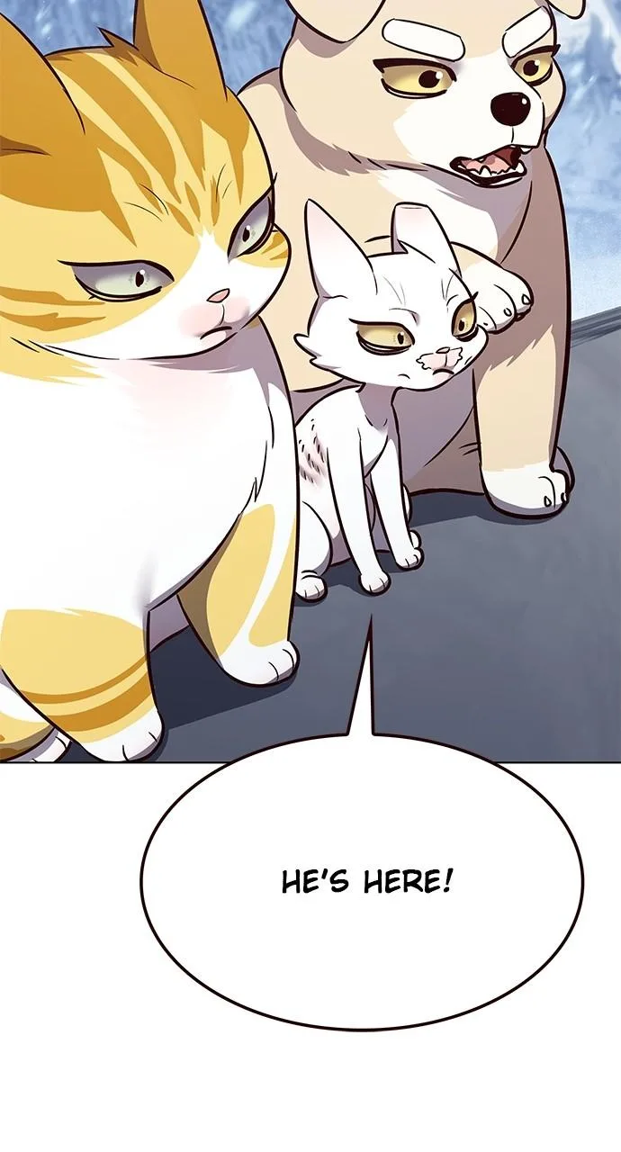 Eleceed - Chapter 331 - Page 104