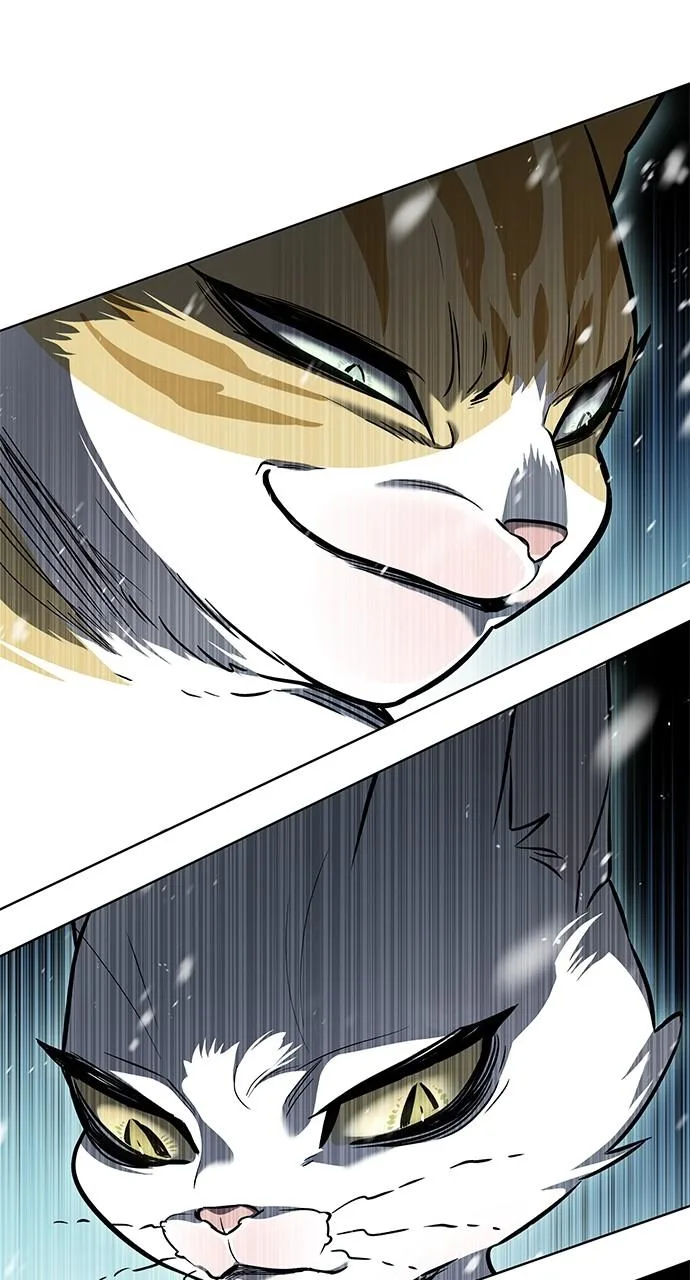 Eleceed - Chapter 334 - Page 125