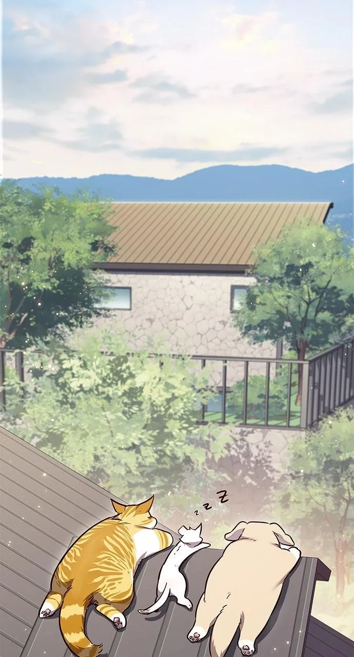 Eleceed - Chapter 347 - Page 37